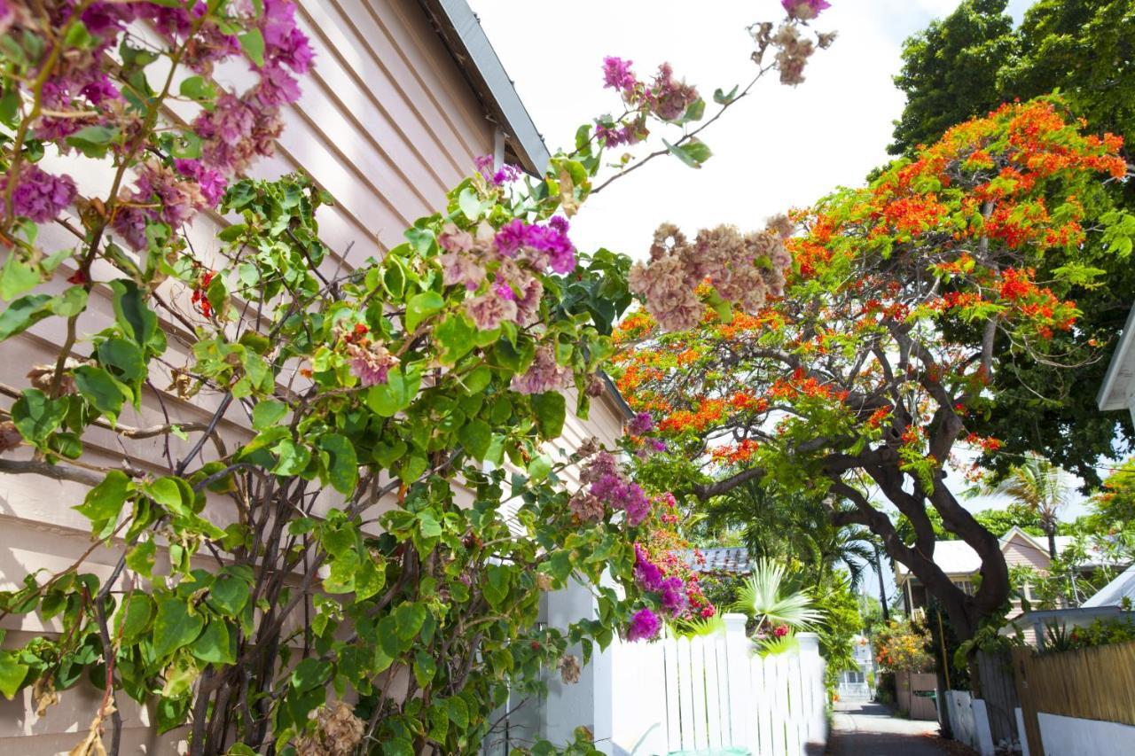 Courtney'S Place Historic Cottages & Inns คีย์เวสต์ ภายนอก รูปภาพ